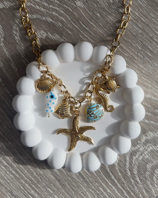 Babyblue Seastar